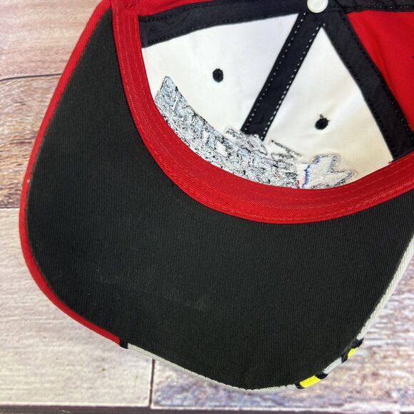 RARE Terry Labonte 44 Kelloggs Racing Hat Snapback Cap Lone Star Shark Tooth VG - Picture 13 of 15